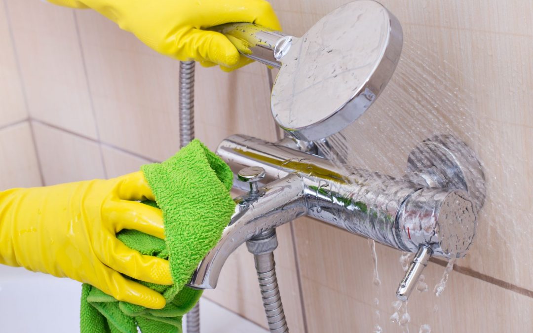 Multicleaner Pinalen® Original cleans showers